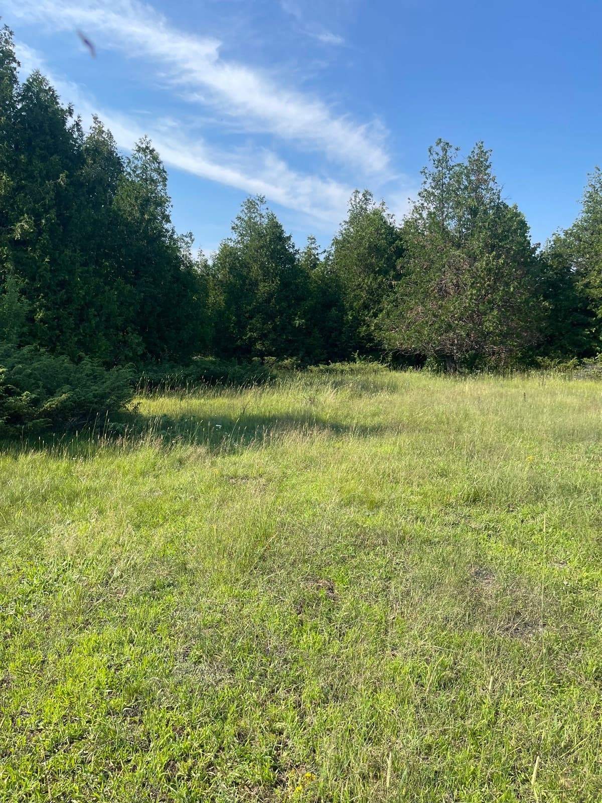 540-acre farm property with barn for storage & livestock