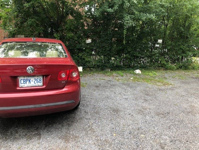 Paved outdoor parking spot near Queen's campus & KGH