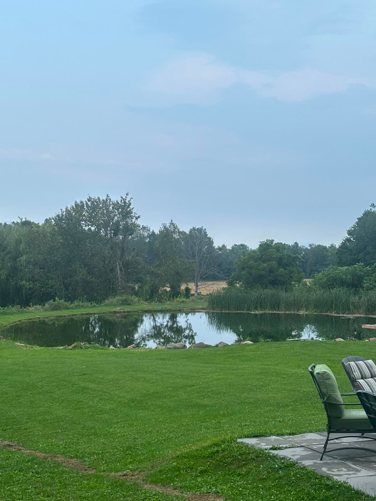 ***FARM LAND FOR RENT IN CALEDON EAST***