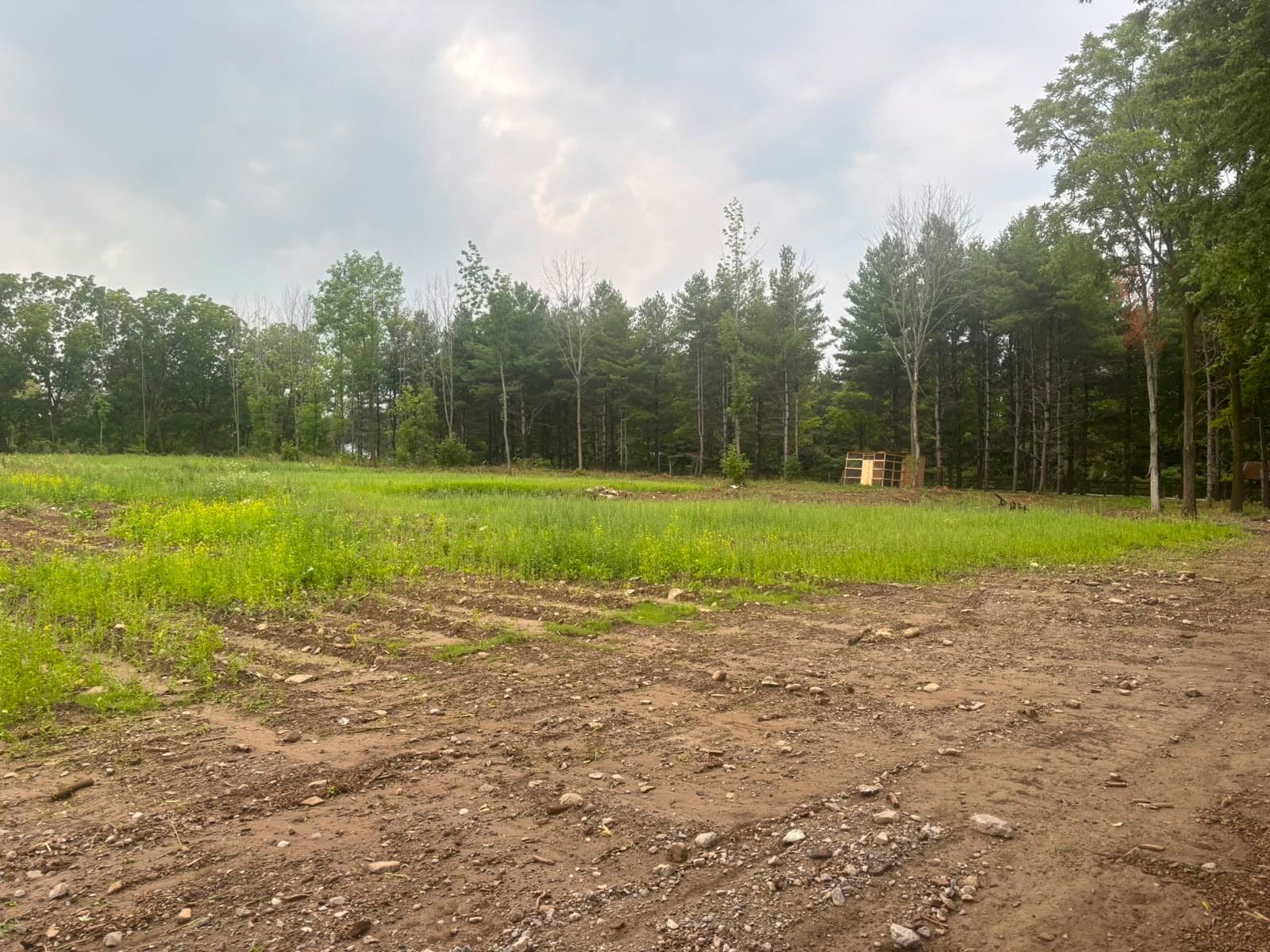 ***FARM LAND FOR RENT IN CALEDON EAST***