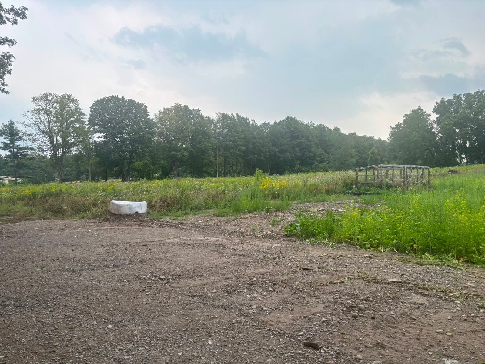 ***FARM LAND FOR RENT IN CALEDON EAST***