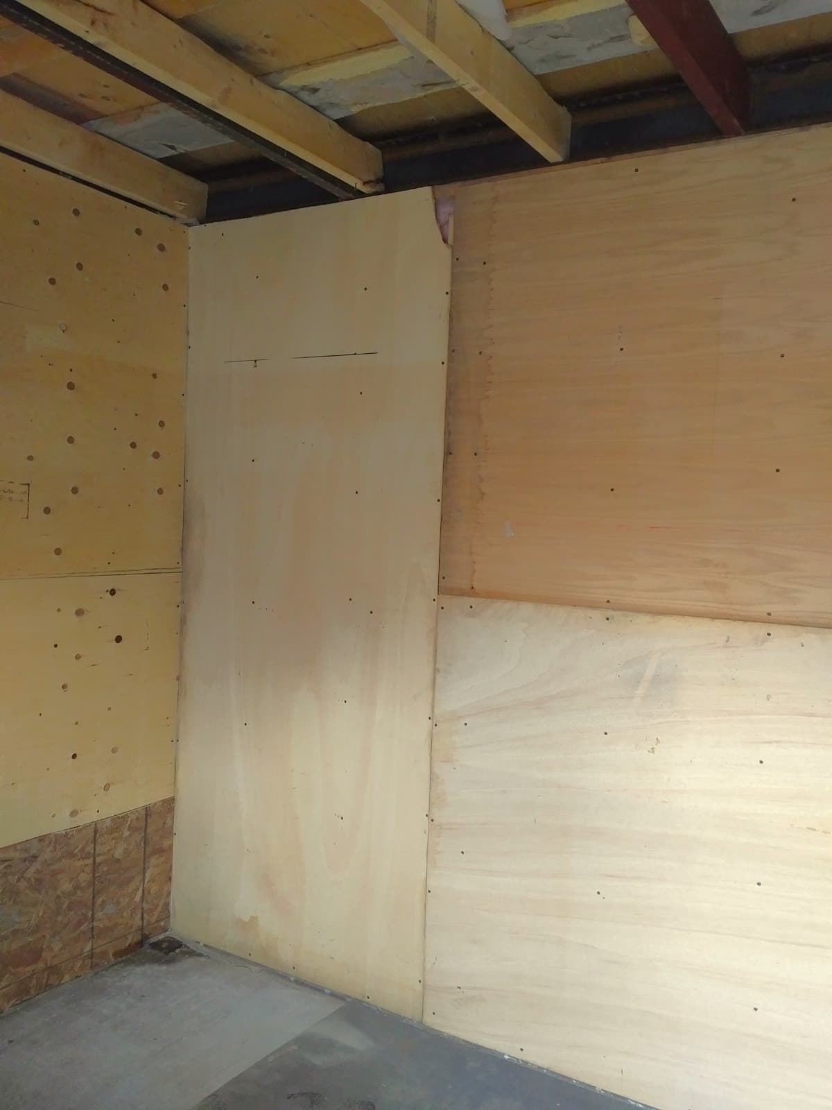 Insulated backyard shed for storage in Junction West