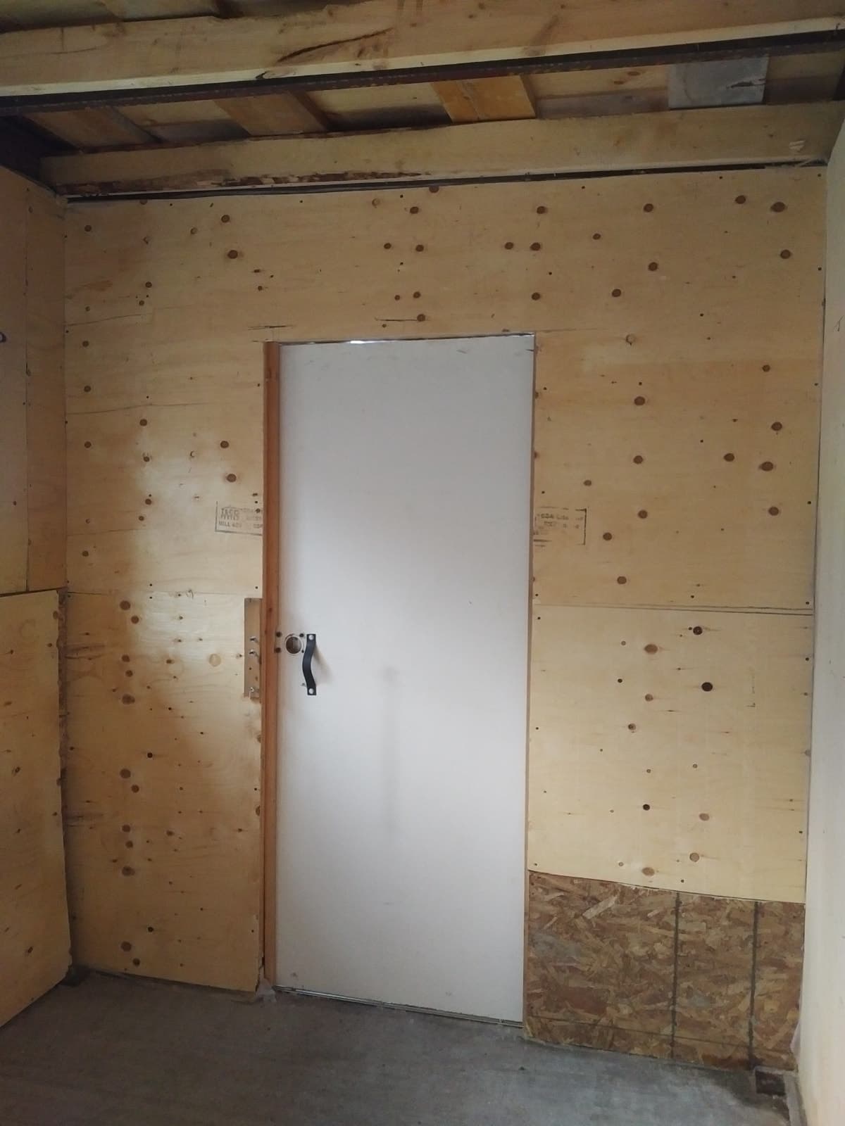 Insulated backyard shed for storage in Junction West