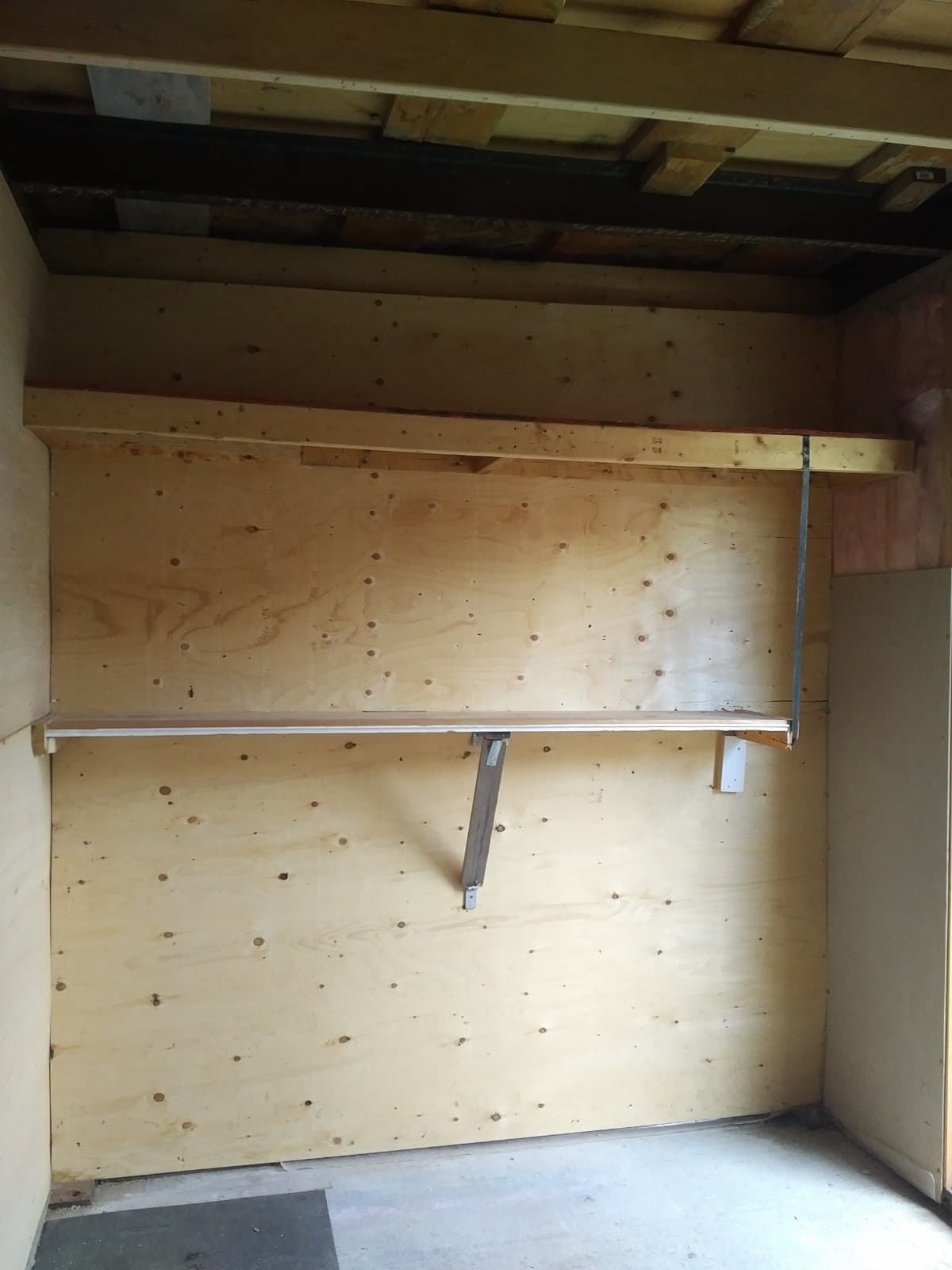 Insulated backyard shed for storage in Junction West